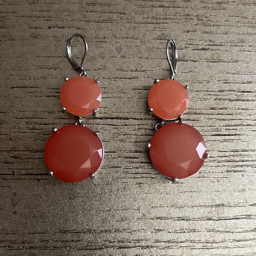 🎉1 hr sale🎉Double layer earring